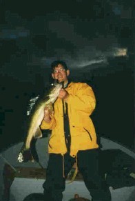 Trophy Walleye Fishing.